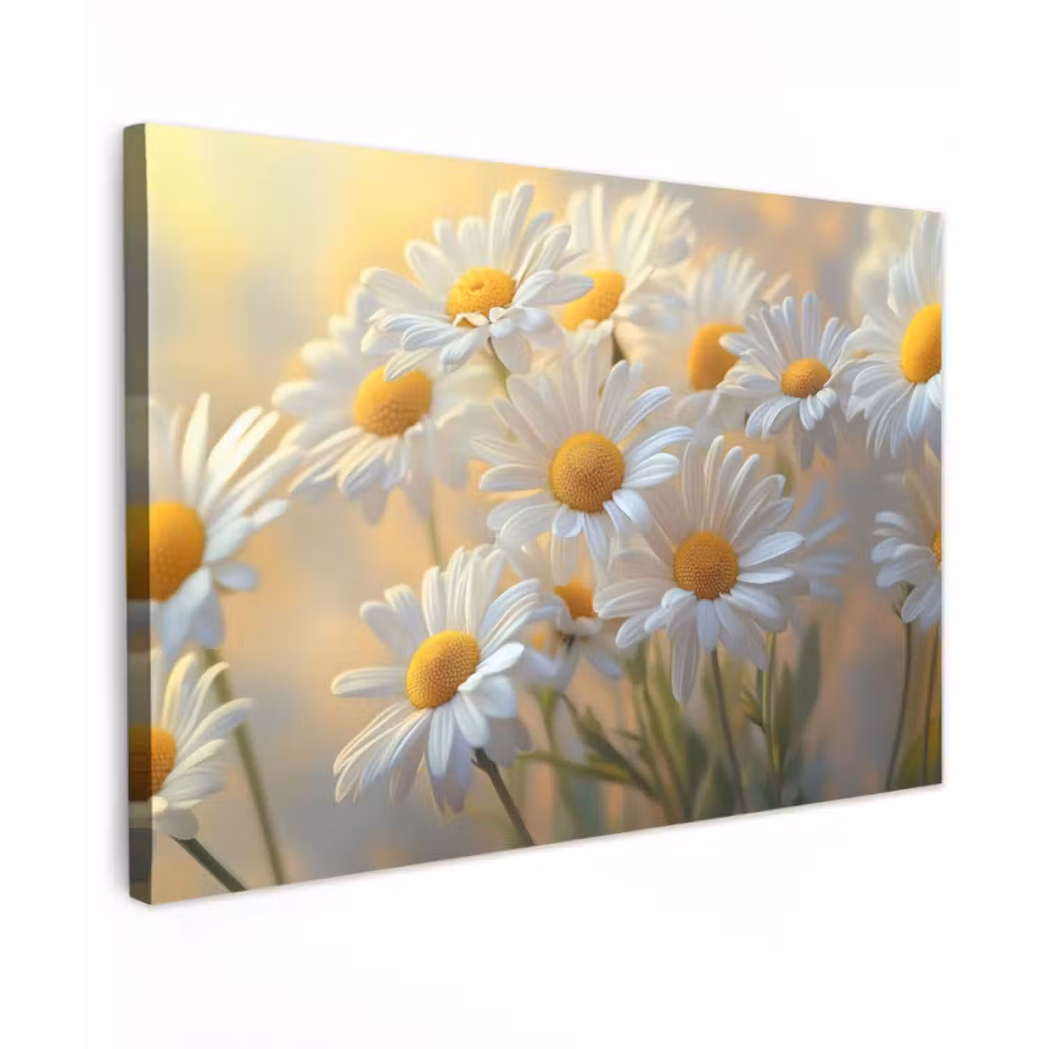 Buiten canvas - Madeliefjes - Wit - Zonlicht
