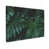 Monstera - Bladeren - Tropisch - Jungle Tuinposter op houten frame 2 cm dik klein -3d
