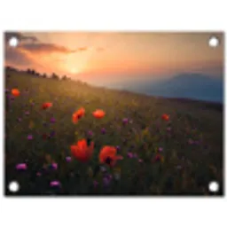 Bloemenveld - Gras - Bloemen - Planten - Zonsondergang - Oranje tuinposter los doek klein -3d