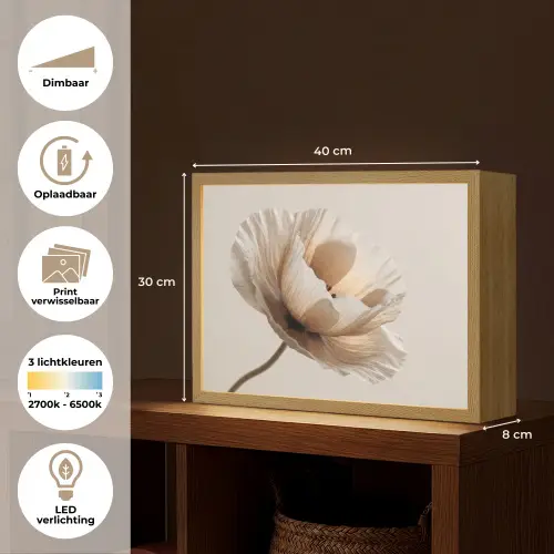 Bloem - Beige - Crème Light Box met batterij (Wandlamp) middel -USP_websiteoverzichtNL