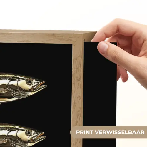 Vissen - Goud - Zwart Light Box met batterij (Wandlamp) middel -USP_websiteprintNL