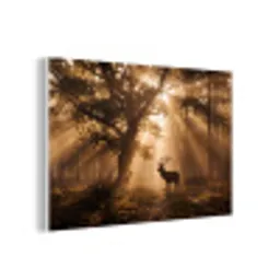 Hert - Bos - Mistig - Natuur - Goud forex 5mm xxl -3d