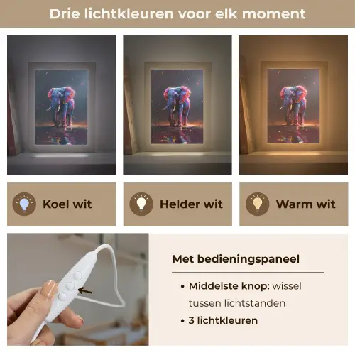 Olifant - Kleuren - Sterren - Dier Light Box met kabel klein -USP_lichtkleurNL
