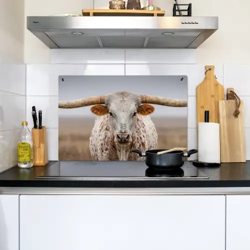 Longhorn - Grasveld - Dier Inductie beschemer met haakjes klein -sfeer2