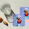 Papegaai - Koksmuts - Vogel - Leuk onderzetter kurk middel -sfeer4