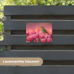Roodborstje in Tulpenveld tuinposter los doek klein -sfeer3
