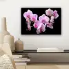 Orchidee - Bloemen - Roze - Flora canvas 2cm klein -sfeer6