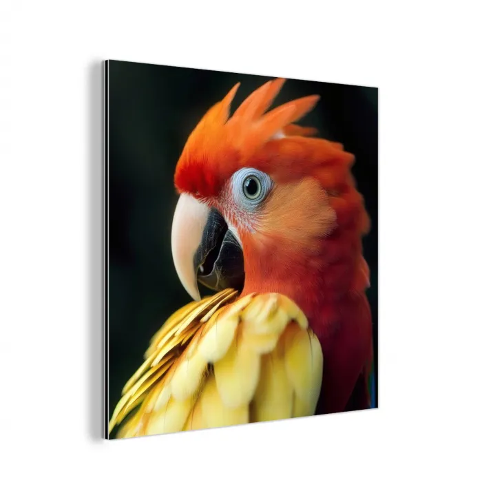Close-up - Papegaai - Veren - Oranje aluminium wit klein -3d