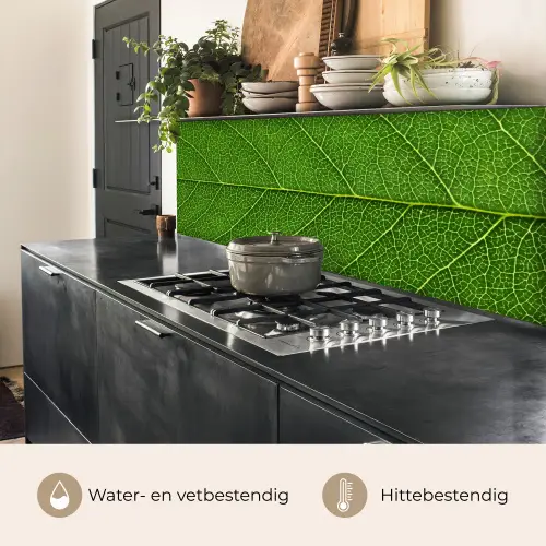 Natuur - Blad - Groen keuken achterwand 2 middel -usp_NL