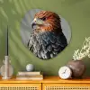 Vogel - Realistisch - Veren - Bruin Wandcirkel Organisch Plexiglas middel -sfeer2