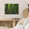 Jungle - Brug - Mos - Natuur - Tropisch PET vilt klein -sfeer3
