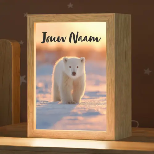 Ijsbeer - Sneeuw - Zonsopgang Light Box met kabel (Kinderlampje) klein -zzz_3d_website