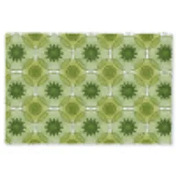 Cirkels - Patroon - Groen Vloerkleed Rechthoek klein 1091 -3d