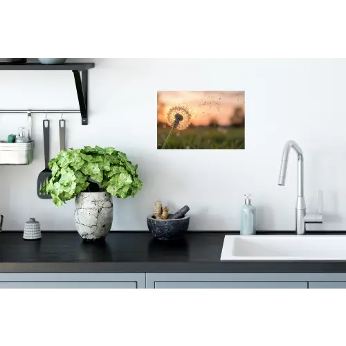 Paardenbloem - Zonsondergang - Veld Muursticker klein -keuken