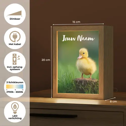 Kuiken - Eend - Geel - Gras Light Box met kabel (Kinderlampje) klein -USP_NL