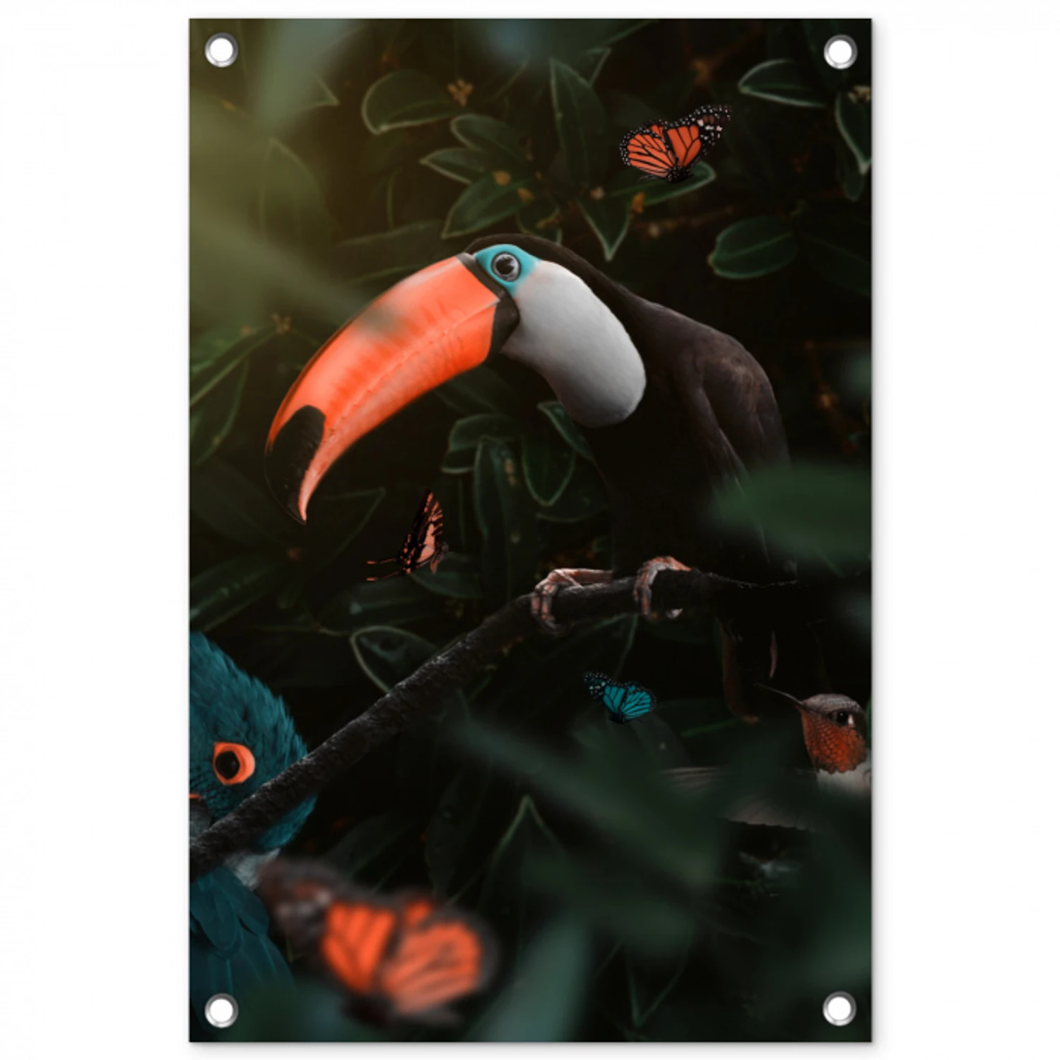Toekan - Vogel - Vlinder tuinposter los doek klein -3d