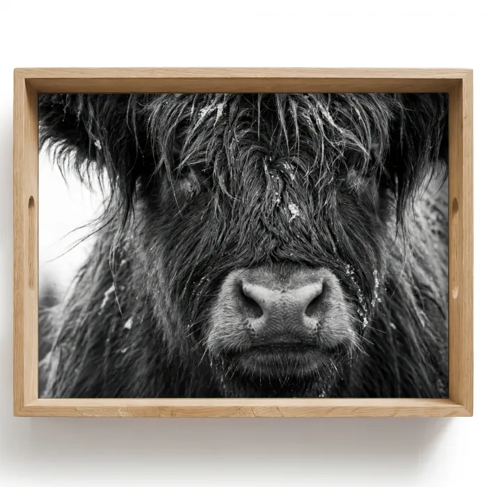 Schotse hooglander - Zwart - Wit - Sneeuwvlokken Dienblad Rechthoek middel -z3d_shopping