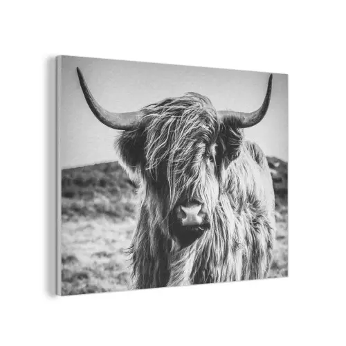 Schotse hooglander - Natuur - Koe - Zwart - Wit PET vilt klein -3d