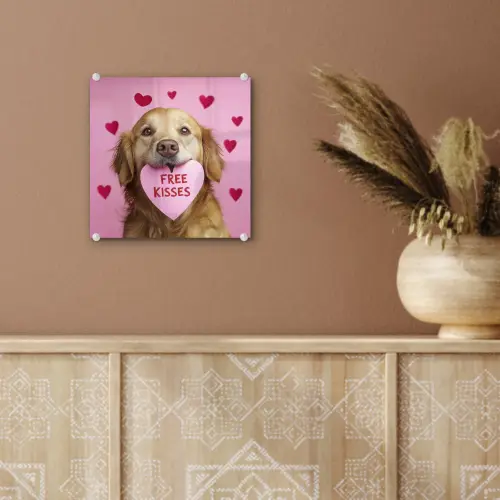 Hond - Kiss- Valentijn - Hartjes plexiglas 5mm klein -sfeer5