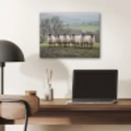 Schapen - Rij - Weide - Dieren - Platteland PET vilt klein -sfeer5