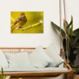 Dieren - Vogel - Tak tuinposter los doek klein -sfeer7