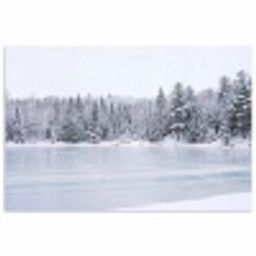 Meer - Dennen - IJs - Winter - Rustgevend poster papier klein -3d