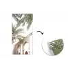 Gebouw - Palmbomen - Beige - Zon fotobehang vinyl groot -3d