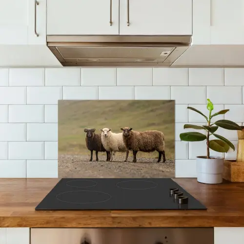 Schapen - Bruin - Wit - Grindpad keuken achterwand spatscherm klein -sfeer2