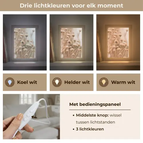 Droogbloemen - Beige - Bloemen - Natuur Light Box met kabel (Tafellamp) klein -USP_lichtkleurNL