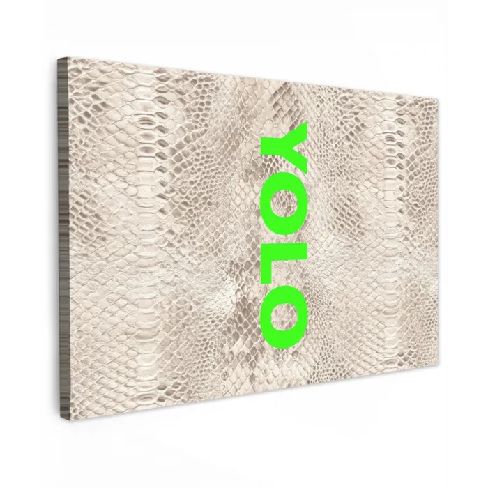 YOLO - Groen - Neon - Slangenprnt Tuinposter op houten frame 2 cm dik klein -3d