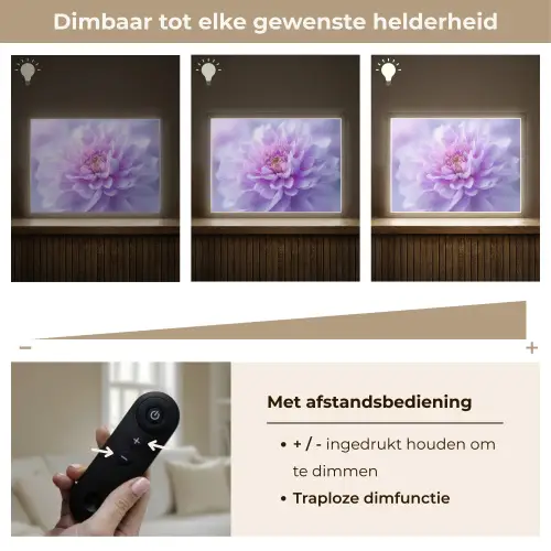 Paars - Dahlia - Dromerig Light Box met batterij (Wandlamp) middel -USP_dimbaarNL