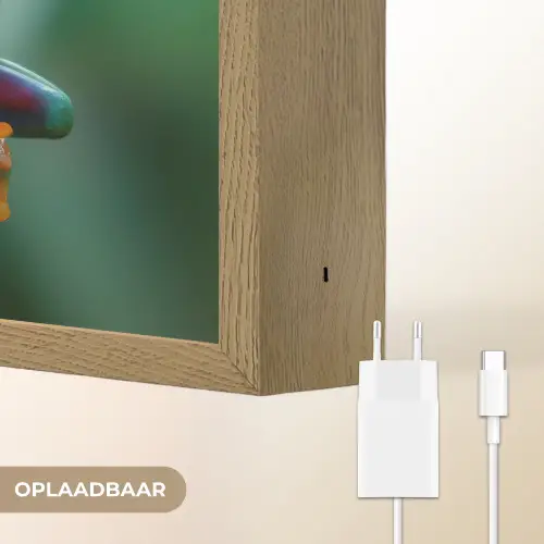Groene kikker - Nieuwsgierig - Gras Light Box met batterij (Wandlamp) middel -USP_websiteoplaadbaarNL