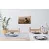 Koala - Bladeren - Ochtendlicht Muursticker klein -eettafel