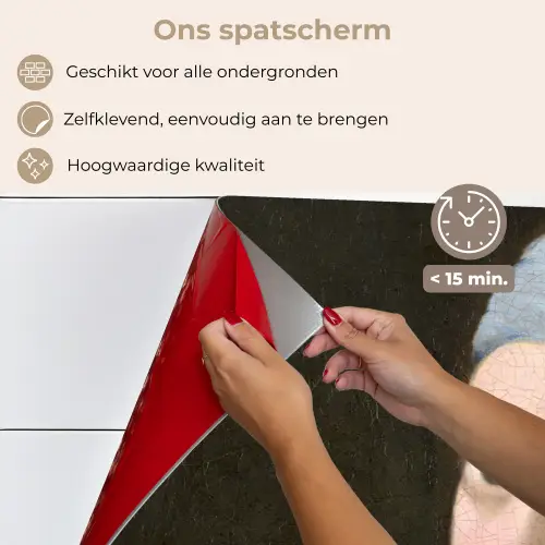 Meisje met de Parel - Schilderij van Johannes Vermeer keuken achterwand spatscherm middel -spatscherm_NL