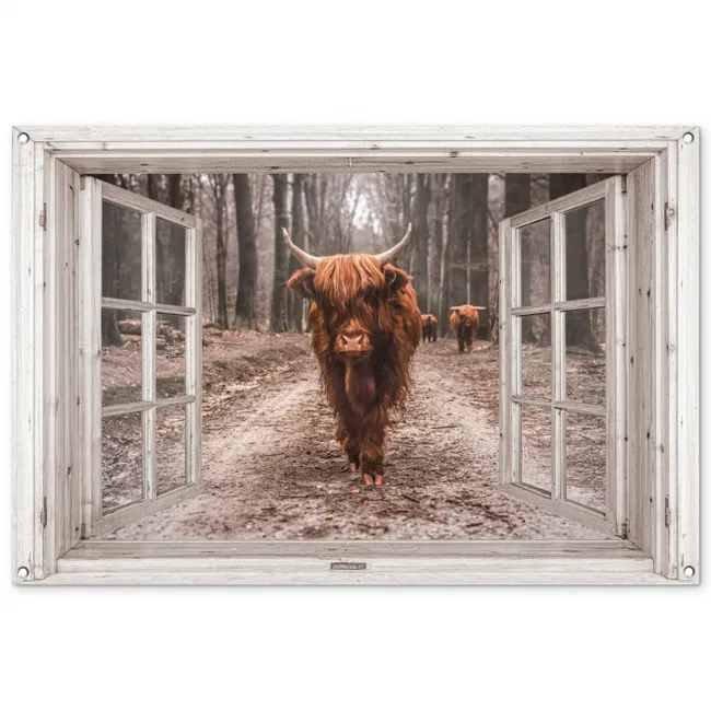 Tuinposter - Hooglander door het Raam