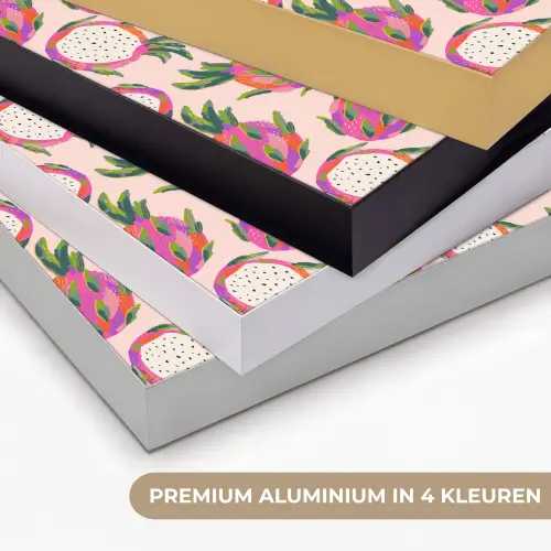 Drakenfruit - Patroon - Roze Textielframe zwart klein 947 -USP_kleurenNL