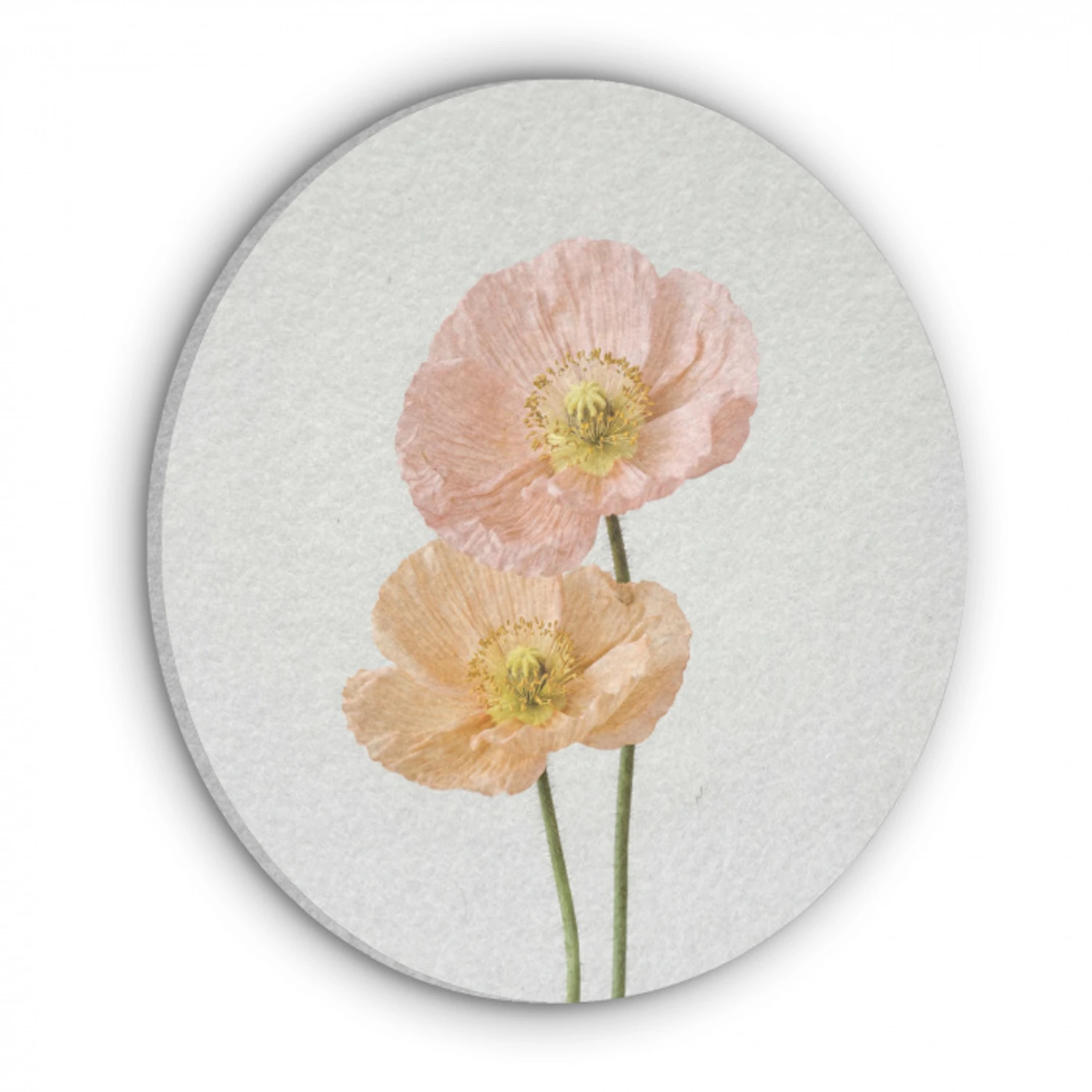 Papavers - Botanisch - Roze Akoestische PET Vilt - Rond klein -3d