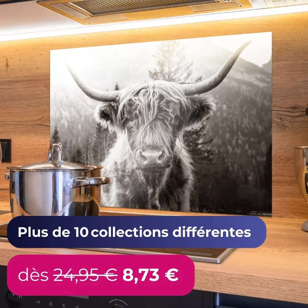 PLUS DE 10 COLLECTIONS DIFFÉRENTES