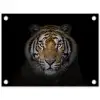 Tijger - Wilde dieren - Portret - Zwart - Dieren tuinposter los doek klein -3d