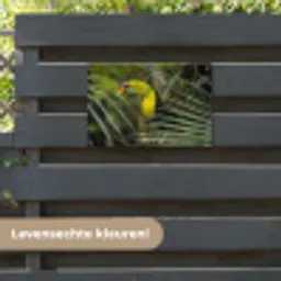 Close-up van een etende toekan tuinposter los doek klein -sfeer3
