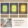 Groen - Roze bonjour - Retro Light Box met kabel (Tafellamp) klein -USP_lichtkleurNL