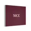 Nice - Bordeaux - Roze PET vilt klein -3d