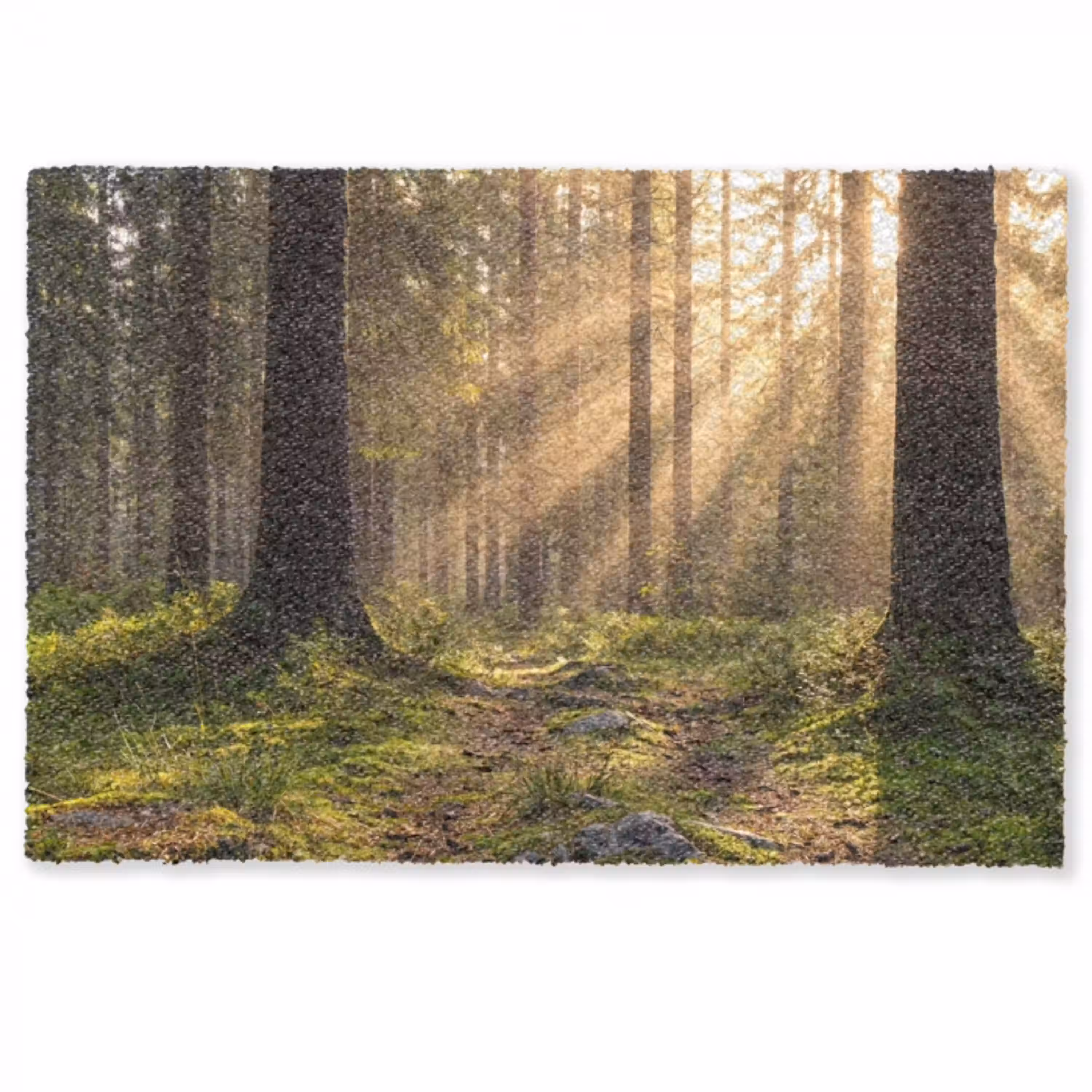 Bos - Zonlicht - Gras Deurmat klein -zkaufland3d