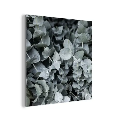 Natuur - Planten - Eucalyptus - Bladeren aluminium wit klein -3d