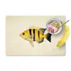 Geel - Vis - Strepen - Tropisch Placemat vinyl groot -zzzproduct_Kitchenyeah-website