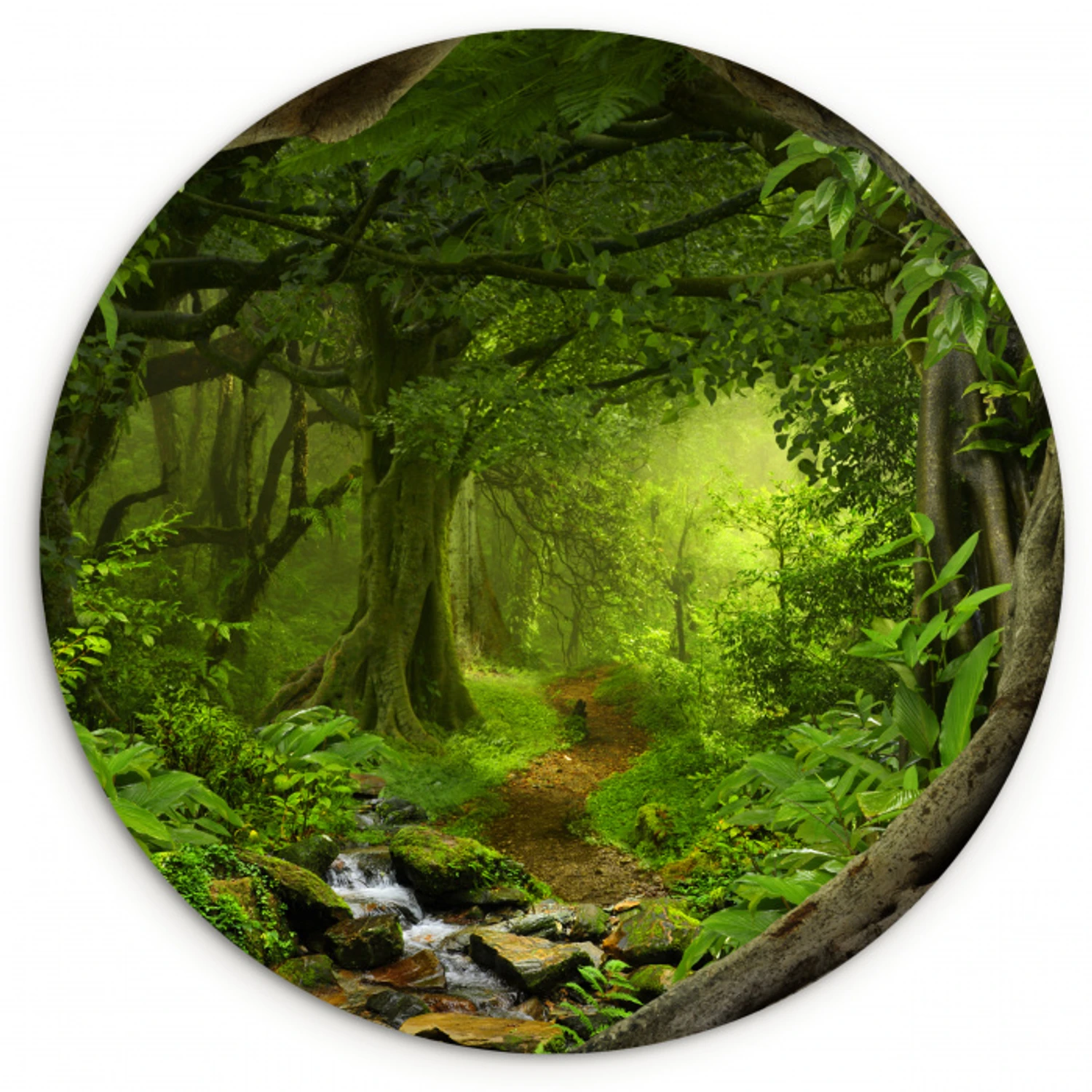 Jungle - Groen - Natuur - Tropisch - Planten Wandcirkel kunststof plaat 5mm dik klein -3d