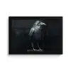 Raaf - Vogels - Zwart fotolijst zwart zonder passe partout klein -3d