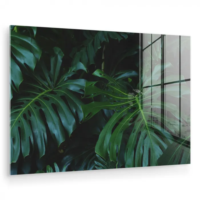 Monstera - Bladeren - Tropisch - Jungle plexiglas 5mm klein -zzzproduct_nieuw
