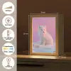 Poolvos - Sneeuw - Roze Light Box met kabel klein -USP_NL