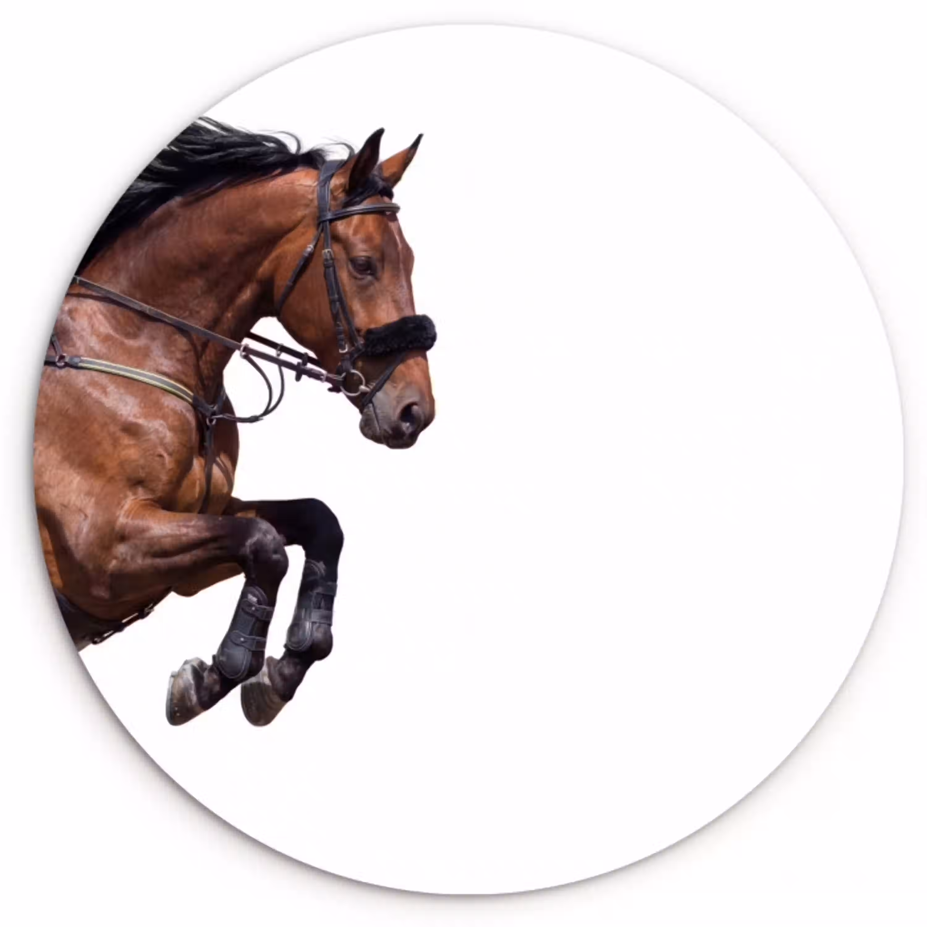 Paard - Springen - Modern Wandcirkel kunststof plaat 5mm dik klein -3d